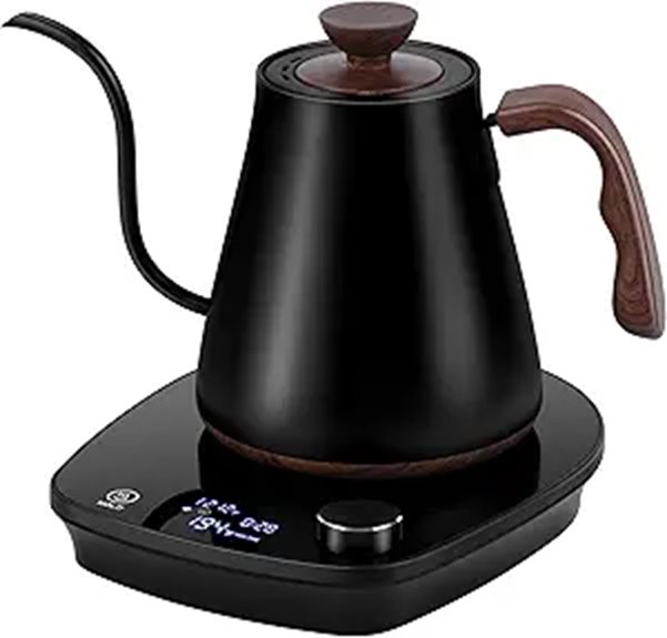 electric kettle with temp control