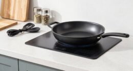 electric skillet placement guidelines