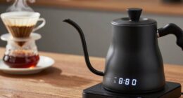 exact heat regulation features