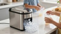 fast ice maker cleanup