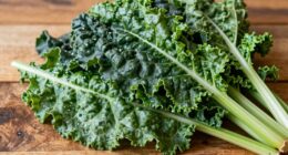 pre chopping enhances blending