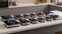 top beginner commercial induction burners