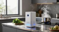 top kitchen odor air purifiers