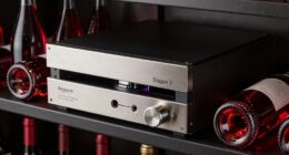 top wine preservation systems