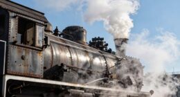 assessing steam leak norms