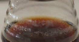 dirty carafe affects flavor