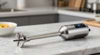 immersion blender feature explanations
