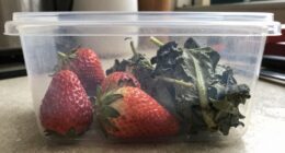 incorrect container faster spoilage