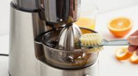 juicer cleaning and maintenance