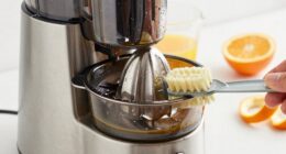 juicer cleaning and maintenance