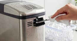 keep ice maker clean