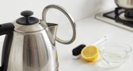 maintain clean electric kettles