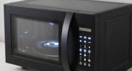 microwave features explained clearly