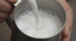 thin dull foam habit