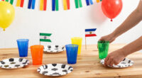 12 Best World Cup Themed Party Supplies in 2026