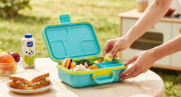 13 Best Lunch Box For Kids In 2026