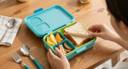How to Choose Lunch Boxes For Kids