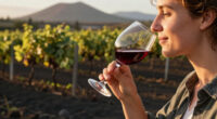 From Santorini To The Canary Islands: 7 Volcanic Wine Regions Beyond Mt. Etna Worth Exploring