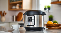 Instant Pot Troubleshooting & Care: The 2026 Maintenance Guide