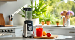 Beat the Heat: Tips & Hacks for Using the Ninja Blast Max Portable Blender This Summer