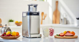 Summer Care Tips for Your Ninja CREAMi Deluxe Ice Cream Maker