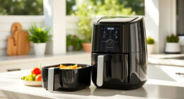 Summer Care & Troubleshooting Guide for Ninja Air Fryer XL