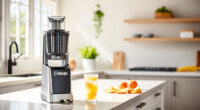 Summer Sips: Must-Have Accessories for Your Ninja SLUSHi Frozen Drink Maker